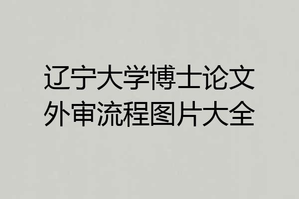 辽宁大学博士论文外审流程图片大全