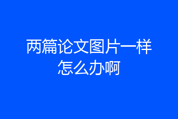 两篇论文图片一样怎么办啊