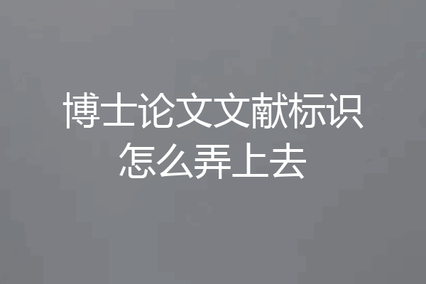 博士论文文献标识怎么弄上去