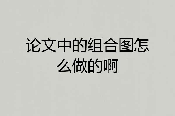 论文中的组合图怎么做的啊