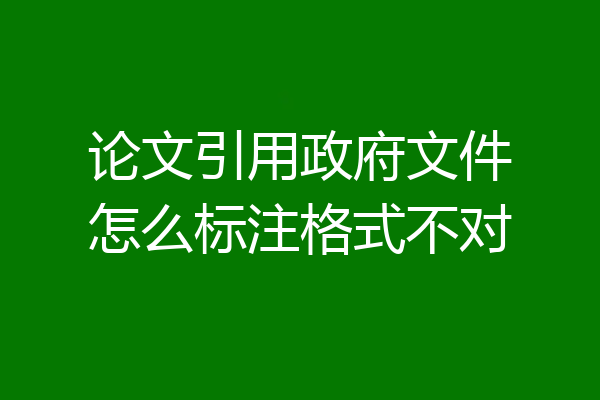 论文引用政府文件怎么标注格式不对