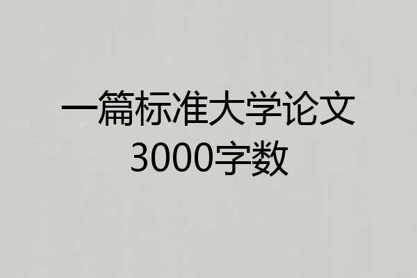 一篇标准大学论文3000字数
