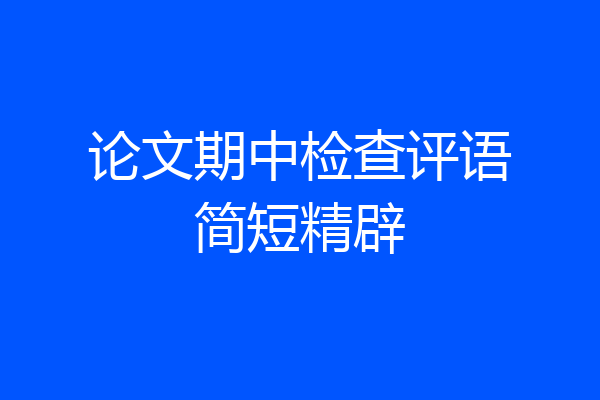 论文期中检查评语简短精辟