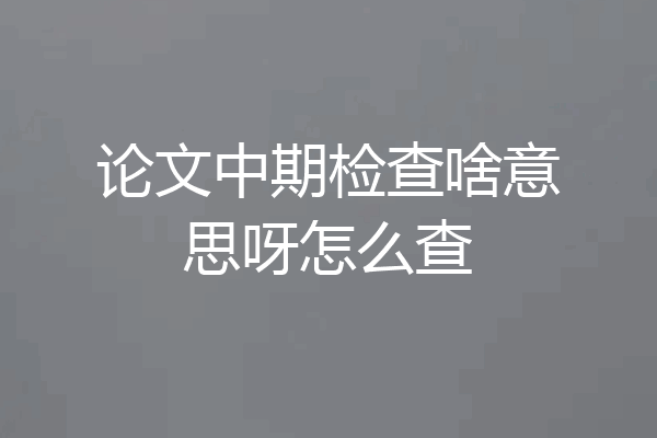 论文中期检查啥意思呀怎么查