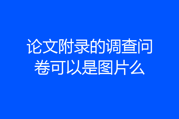 论文附录的调查问卷可以是图片么
