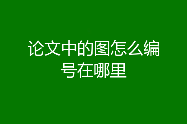 论文中的图怎么编号在哪里