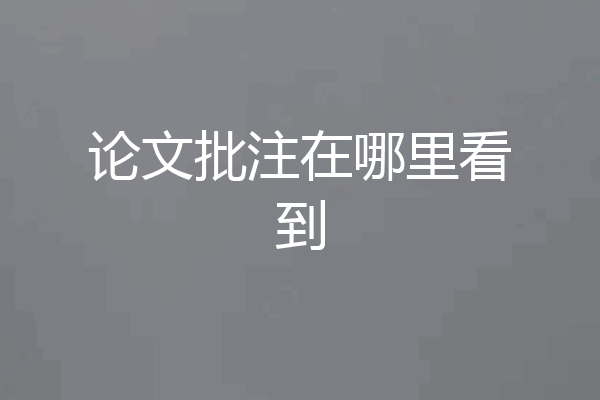 论文批注在哪里看到