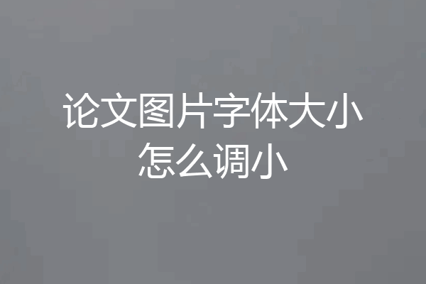 论文图片字体大小怎么调小