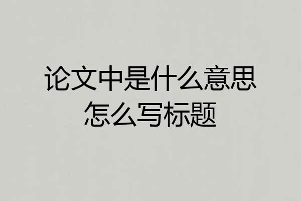 论文中是什么意思怎么写标题
