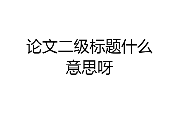 论文二级标题什么意思呀