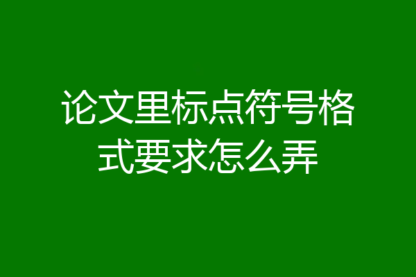 论文里标点符号格式要求怎么弄