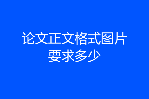 论文正文格式图片要求多少