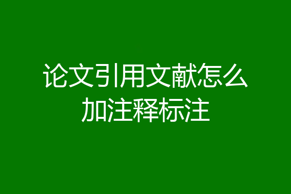 论文引用文献怎么加注释标注