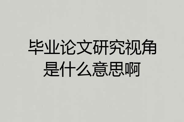 毕业论文研究视角是什么意思啊