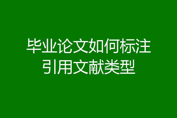 毕业论文如何标注引用文献类型