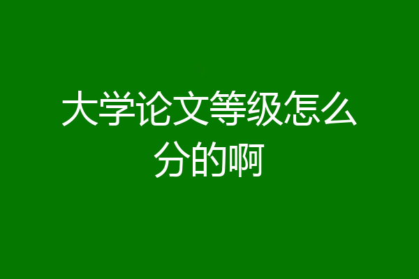 大学论文等级怎么分的啊