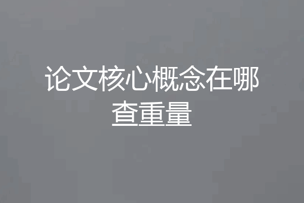 论文核心概念在哪查重量