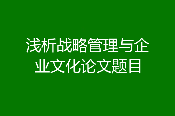 浅析战略管理与企业文化论文题目