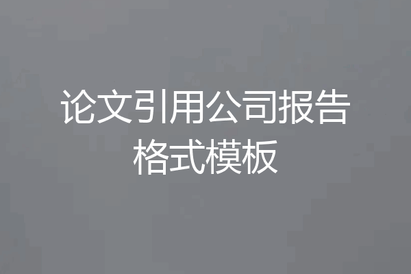 论文引用公司报告格式模板
