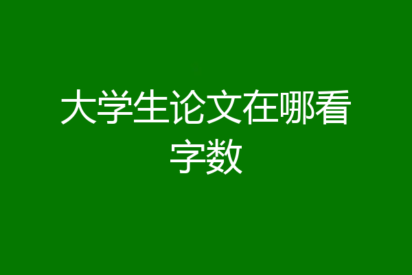 大学生论文在哪看字数