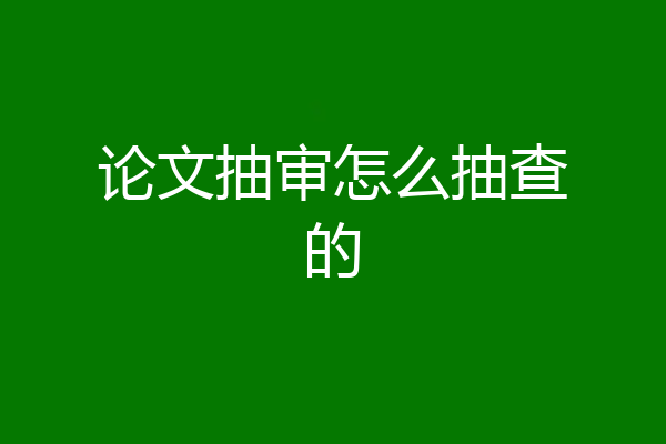 论文抽审怎么抽查的