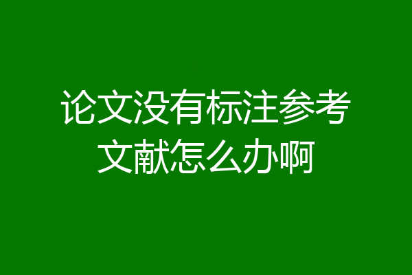 论文没有标注参考文献怎么办啊