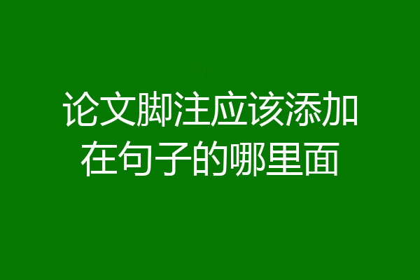 论文脚注应该添加在句子的哪里面