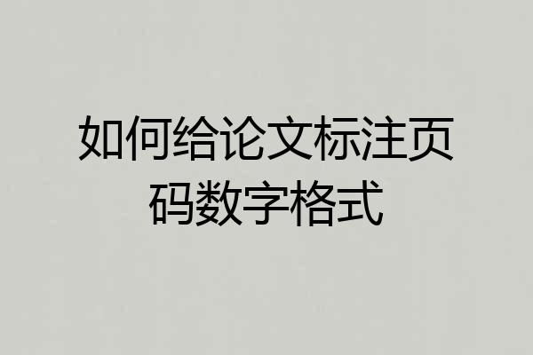 如何给论文标注页码数字格式