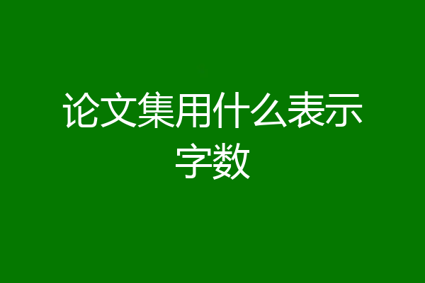 论文集用什么表示字数