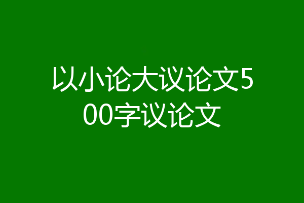 以小论大议论文500字议论文