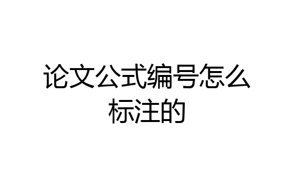 论文公式编号怎么标注的
