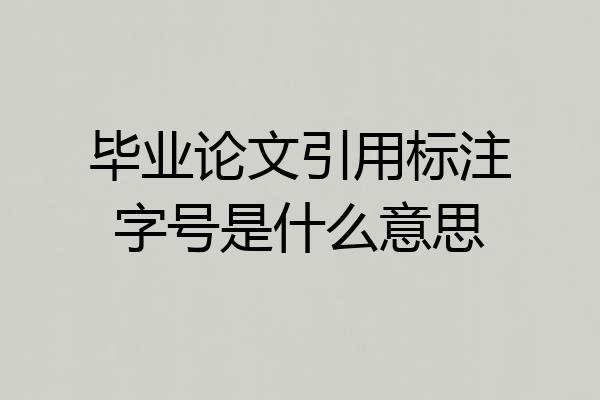 毕业论文引用标注字号是什么意思