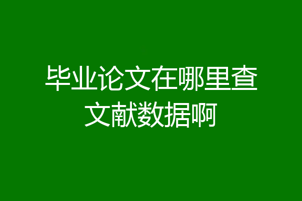 毕业论文在哪里查文献数据啊