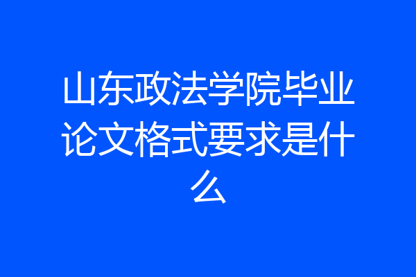 山东政法学院毕业论文格式要求是什么