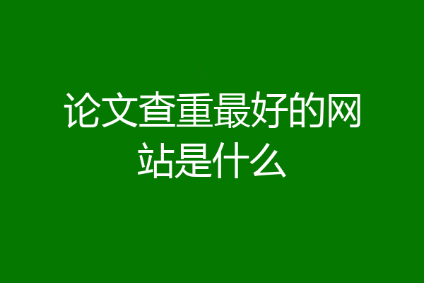 论文查重最好的网站是什么