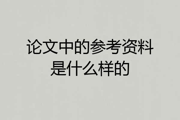 论文中的参考资料是什么样的