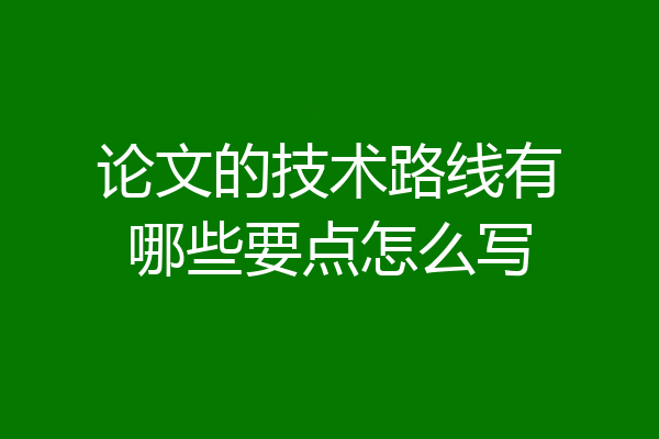 论文的技术路线有哪些要点怎么写