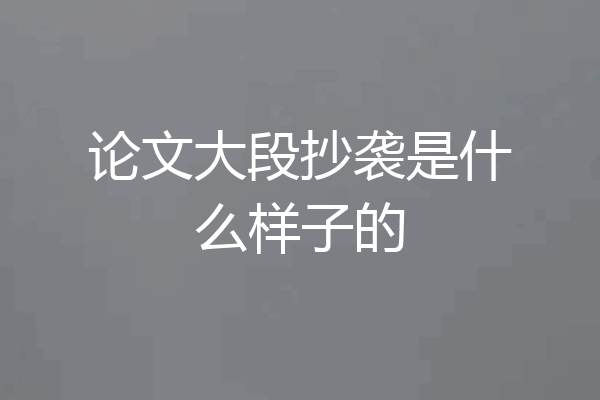 论文大段抄袭是什么样子的