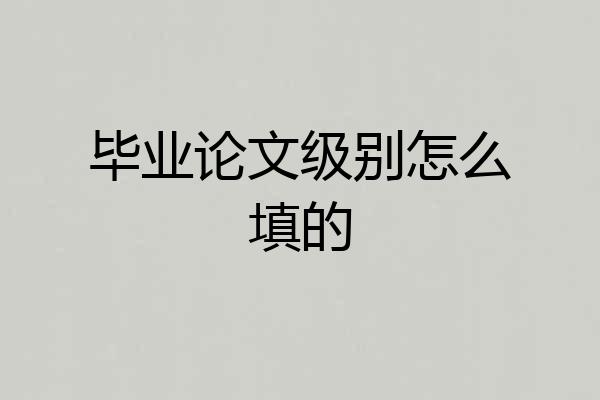 毕业论文级别怎么填的