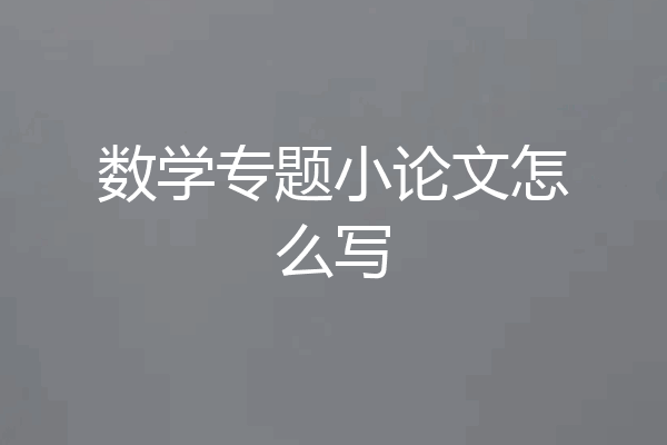 数学专题小论文怎么写