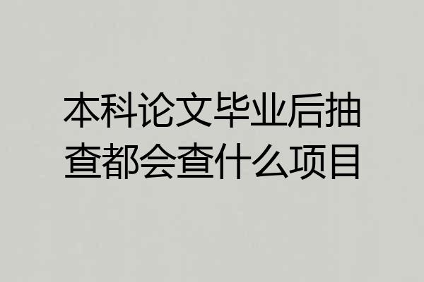 本科论文毕业后抽查都会查什么项目