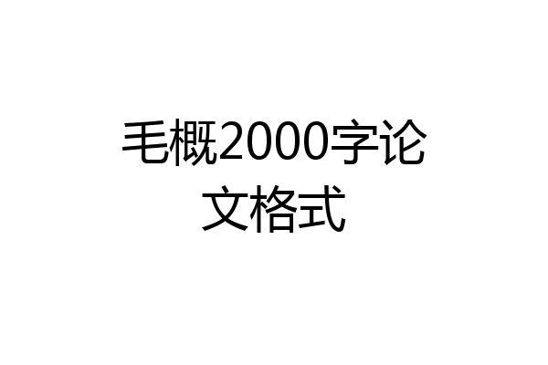 毛概2000字论文格式
