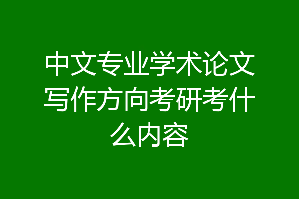 中文专业学术论文写作方向考研考什么内容