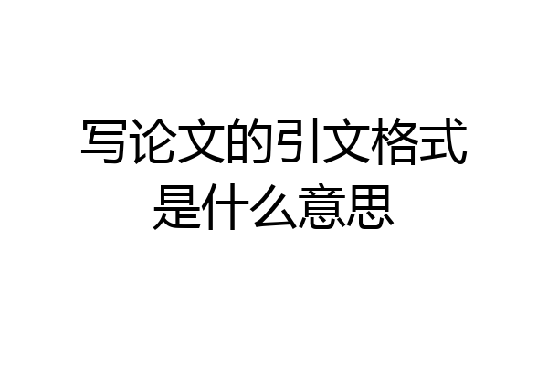 写论文的引文格式是什么意思