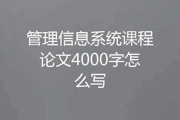 管理信息系统课程论文4000字怎么写