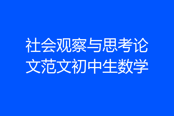 社会观察与思考论文范文初中生数学