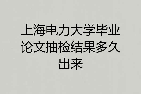 上海电力大学毕业论文抽检结果多久出来