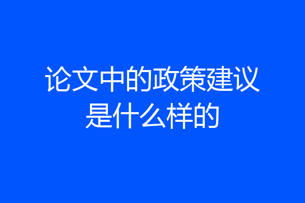 论文中的政策建议是什么样的