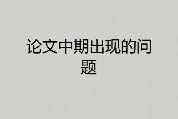 论文中期出现的问题