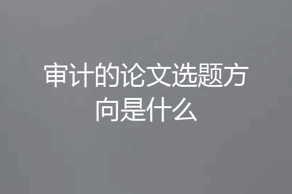 审计的论文选题方向是什么